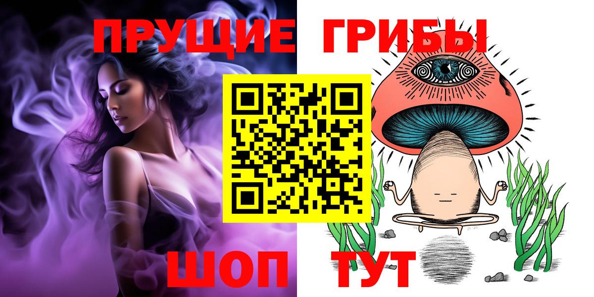 Псилоцибиновые грибы MAGIC MUSHROOMS  Вход с VPN  Мыски 