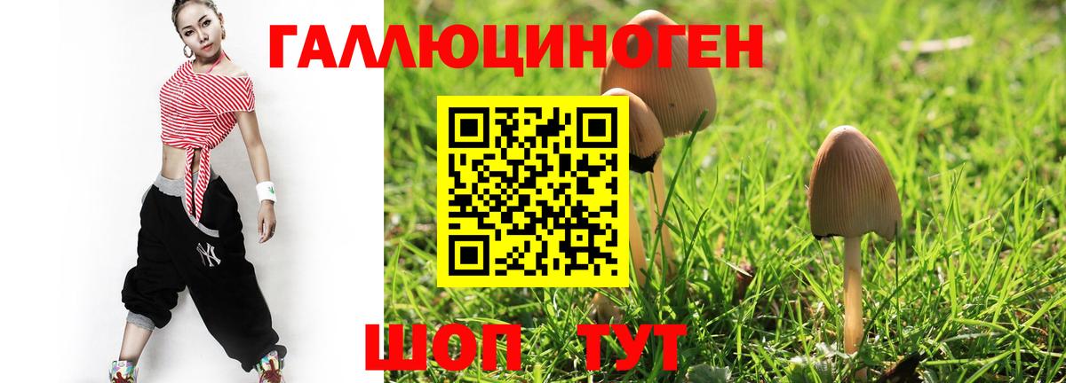Галлюциногенные грибы MAGIC MUSHROOMS Мыски